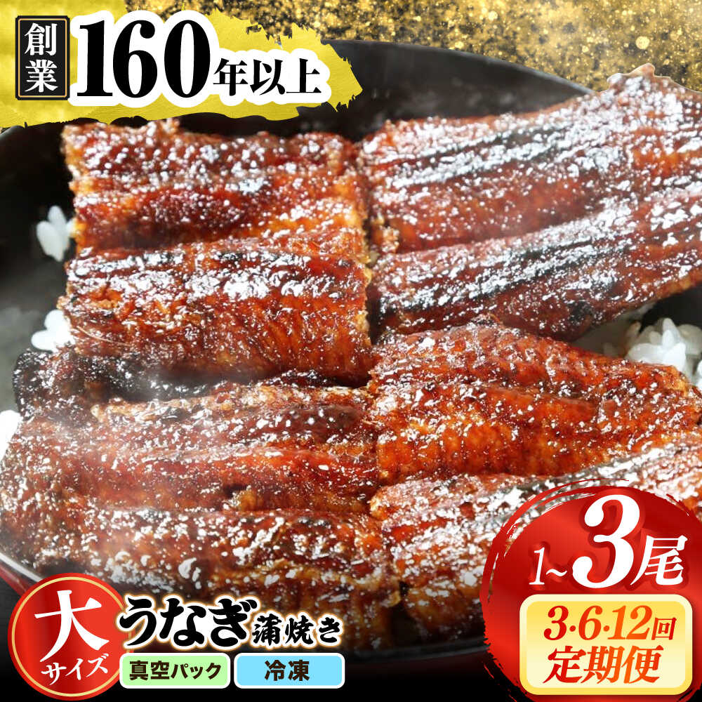 【ふるさと納税】【うなぎや】【選べる容量・定期便回数】 炭火焼 うなぎの蒲焼き (1尾/2尾/3尾)(3回/6回/12回) 【紀州備長炭使用】 鰻 ウナギ 丑の日 多治見市[TFO004]