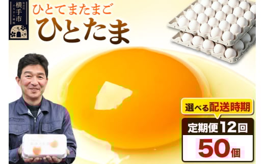 《定期便12ヶ月》ひとたま 50個（業務用）【発送時期が選べる】