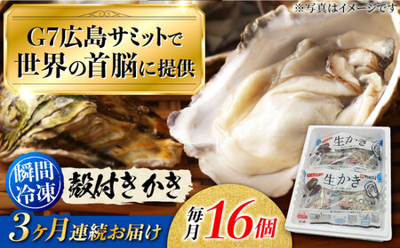 【全3回】冷凍殻付き牡蠣16個 牡蠣[XBL012]牡蠣牡蠣牡蠣牡蠣牡蠣