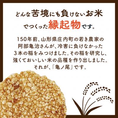 ふるさと納税 庄内町 山形庄内かめこめプロジェクト 亀の尾せんべい 80g×12袋 つぶつぶ食感 煎餅 米菓 おやつ |  | 03