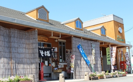 そば 乾蕎麦 10人前 名店 ぷらっと そば