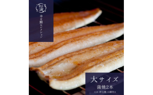 ＜1本230g以上＞遠州杉浦うなぎ 蒲焼セット　蒲焼2本(460g-500g)+肝白焼+タレ【1604148】