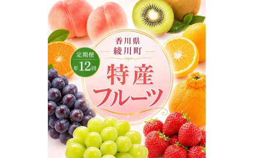 
                  [№5911-0301]特産　フルーツ　定期便（年12回） 香緑キウイ さぬきひめいちご しらぬひ 貯蔵 デコポン
                