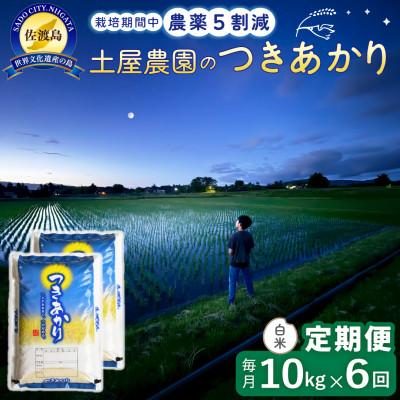 ふるさと納税 佐渡市 【毎月定期便】佐渡島産つきあかり 白米10kg 土屋農園 農家直送 栽培期間中農薬5割減　全6回