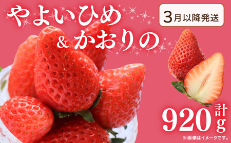 《3月～発送》 先行予約 訳あり いちご やよいひめ かおりの 2種セット 920g いちご いちご いちご