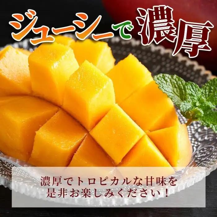 ［予約受付］美ら姫マンゴー1kg（完熟・アーウィン種）　CB-1