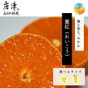 【ふるさと納税】『先行予約』【令和7年2月上旬発送】唐津産ハウス育ち「麗紅」2.5kg/箱込10kg「容量を選べる！」〜海と空と、みかん〜 ミカン フルーツ 柑橘 ギフト