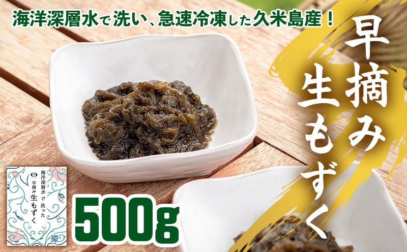 
                  海洋深層水で洗い急速冷凍した久米島産！早摘み生もずく 500g もずく モズク 海藻 早摘み もずく酢 味噌汁 天ぷら 食物繊維 フコイダン ビタミン ミネラル アミノ酸 稀少 ぬめり コシ 海洋深層水 急速冷凍 新鮮 沖縄 久米島
                