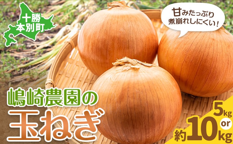 
            【ふるさと納税】 玉ねぎ たまねぎ 玉葱 選べる 約5kg 約10kg サイズ混合《2026年10月上旬から11月中旬頃出荷》嶋崎農園  送料無料 北海道 本別町 北海道 十勝 本別町産 オニオン カレー サラダ スープ 野菜
          