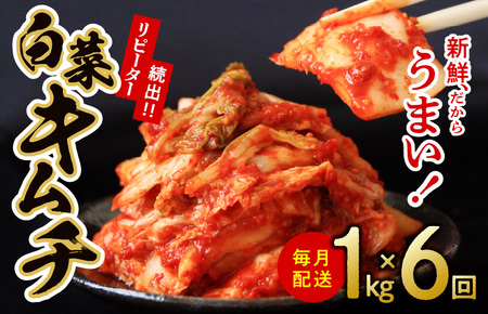 定期便 白菜キムチ 1kg × 6回 大好評 韓国【毎月配送コース】