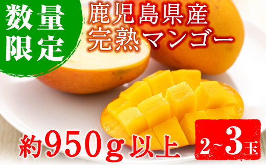 
                  No.471 ＜先行予約受付中！2026年5月中旬から発送＞《期間・数量限定》完熟マンゴー2玉入り及び3玉入り(約950g以上)国産 九州産 フルーツ マンゴー ギフト 贈答 数量限定【さつま日置農協北部営農センター】
                