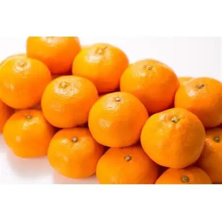 有田みかん 秀品 [約2.8kg]LMS【サイズおまかせ】/薄皮で甘い美味しいみかん 産地直送【1543800】
