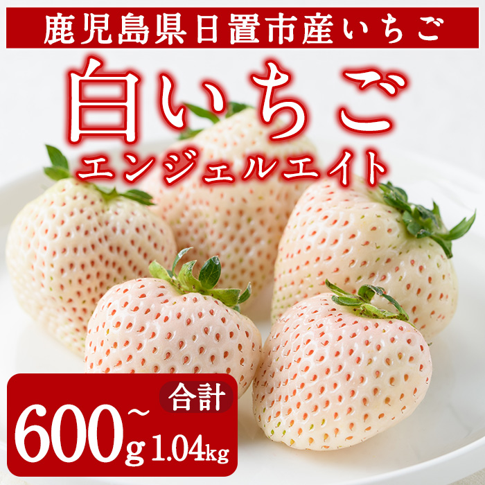 No.1139 ＜先行予約受付中！＞白いちご エンジェルエイト(約600g～1.04kg) 国産 九州産 鹿児島 日置市 生鮮食品 苺 イチゴ 白苺 果物  フルーツ 天使のいちご【ままりあ農園】