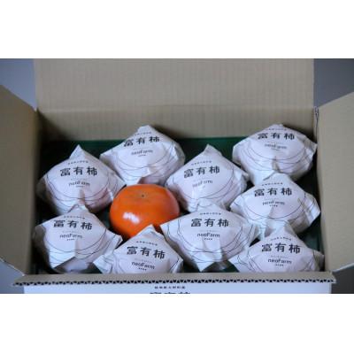 ふるさと納税 大野町 岐阜県大野町産　富有柿　3L　10個入り |  | 01