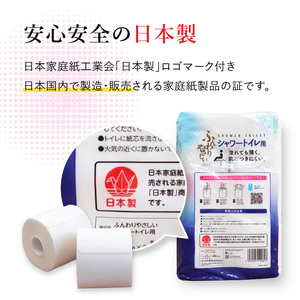 R18002 【先行予約※2025年1月より発送開始】ふんわりやさしい 吸水力３倍シャワートイレ用（12ロール×6パック 計 72ロール）ダブル 1ロール25ｍ