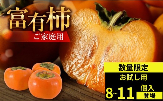 【先行予約／令和8年産／2026年11月～発送予定】《 訳あり 》 富有柿 ご家庭用 お試し8個入 S-Mサイズ  ｜福井農園