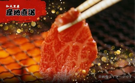 限定50セット【知夫里島】経産牛焼肉用バラエティーミックス５００ｇ経産牛/焼き肉/バーベキュー/鉄板焼き/牛肉/黒毛和牛/ セット/冷凍