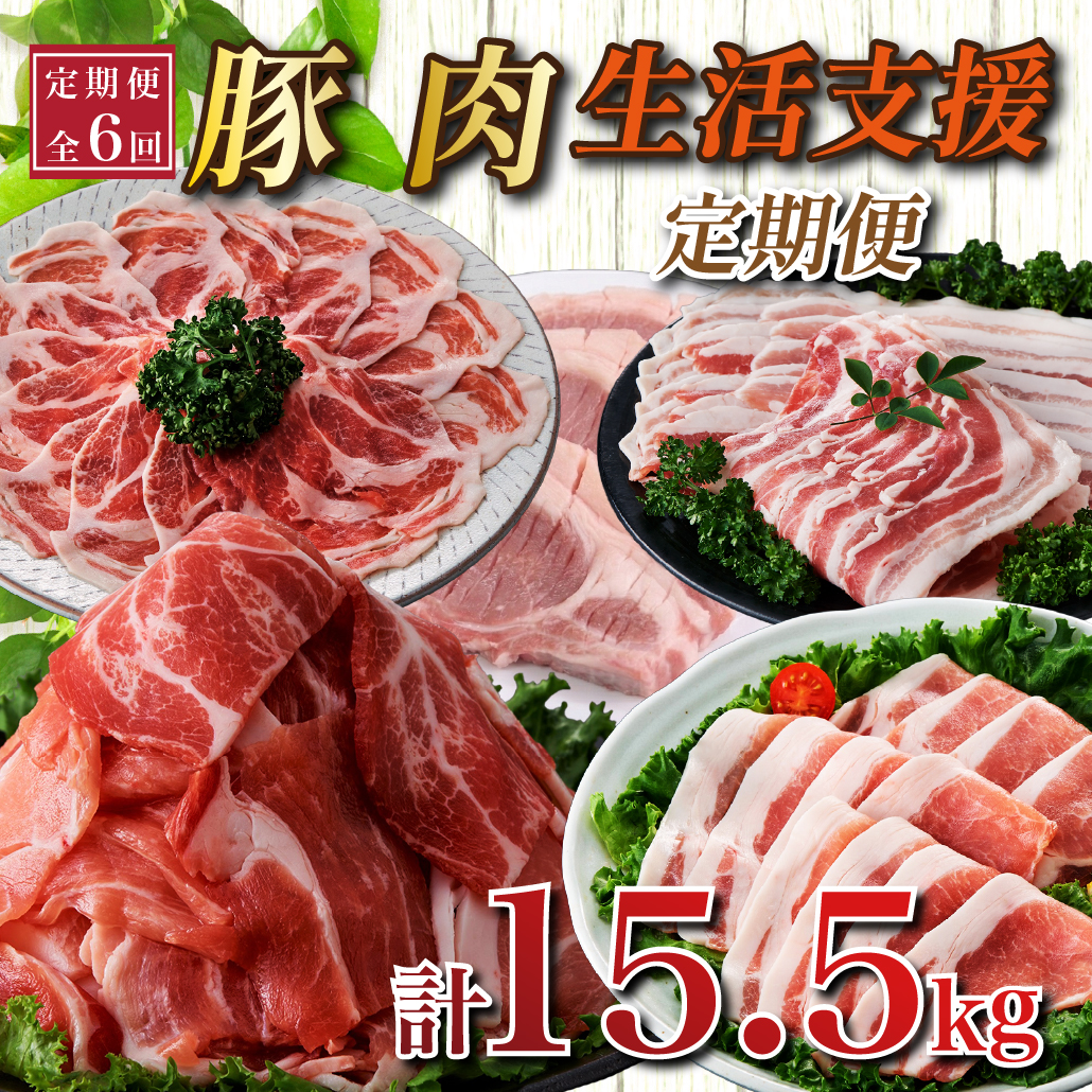 【定期便全6回】生活支援定期便15.5kg(小分け 豚切り落とし 豚バラスライス 豚肩ロース しゃぶしゃぶ 肩ロース生姜焼き 豚ロースとんかつ 豚モモウデ切り落とし 国産 九州産）)