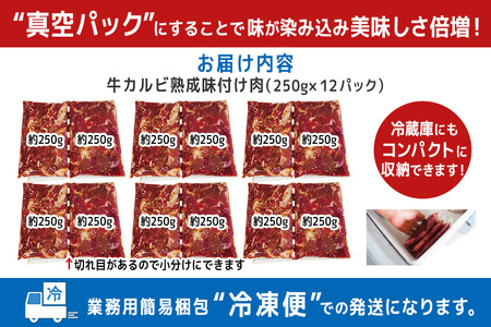 熟成牛カルビ 3kg (250g×12パック) たれ 味付 小分け 冷凍 焼肉 焼き肉 牛 牛肉 ビーフ カルビ BBQ 【そうざい男しゃく（株式会社池延）】【ho1473】