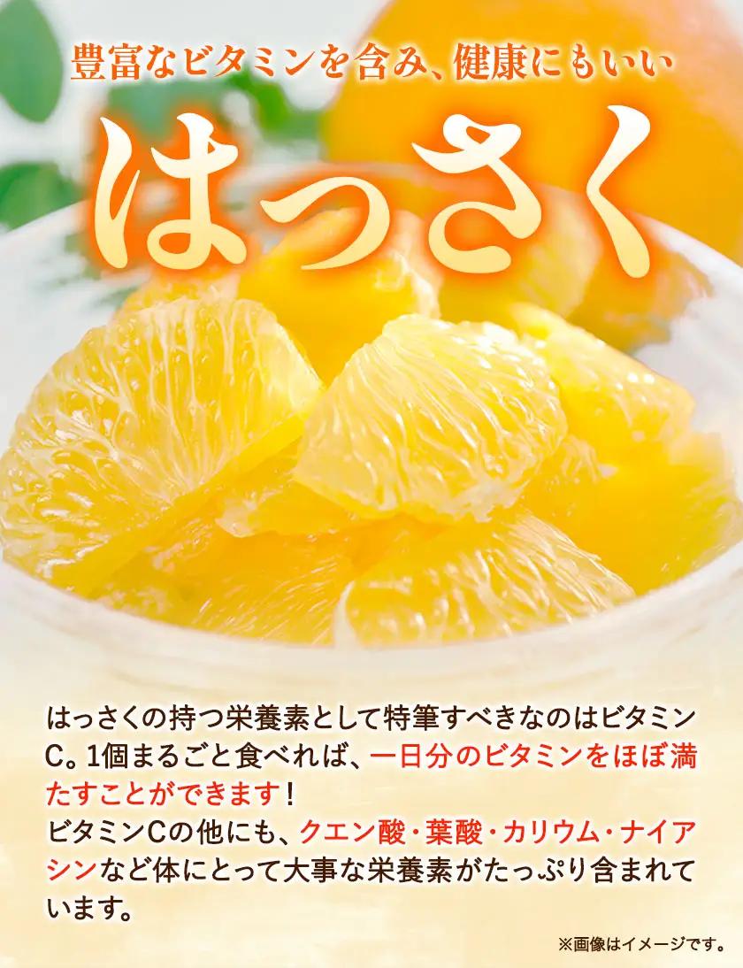 八朔 はっさく 約4kg