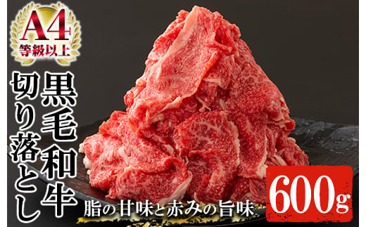 鹿児島県産 黒毛和牛 切り落とし 約600g（300g×2P）A4等級以上！冷凍 小分け 国産 鹿児島県産 黒毛和牛 牛肉 の 切り落とし は 焼肉 炒め物 にもオススメ【A-1553H】