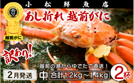 【訳あり】足折れ 越前がに 中サイズ × 2杯（1杯600〜700g）地元で喜ばれるゆで加減・塩加減で越前の港から直送！【雄 ズワイガニ ずわいがに 姿 ボイル 冷蔵 福井県】【2月発送分】希望日指定可 備考欄に希望日をご記入ください [e23-x012_02]