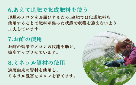 【先行予約】2026年7月お届け  タカミメロン 2玉 水野農園 メロン