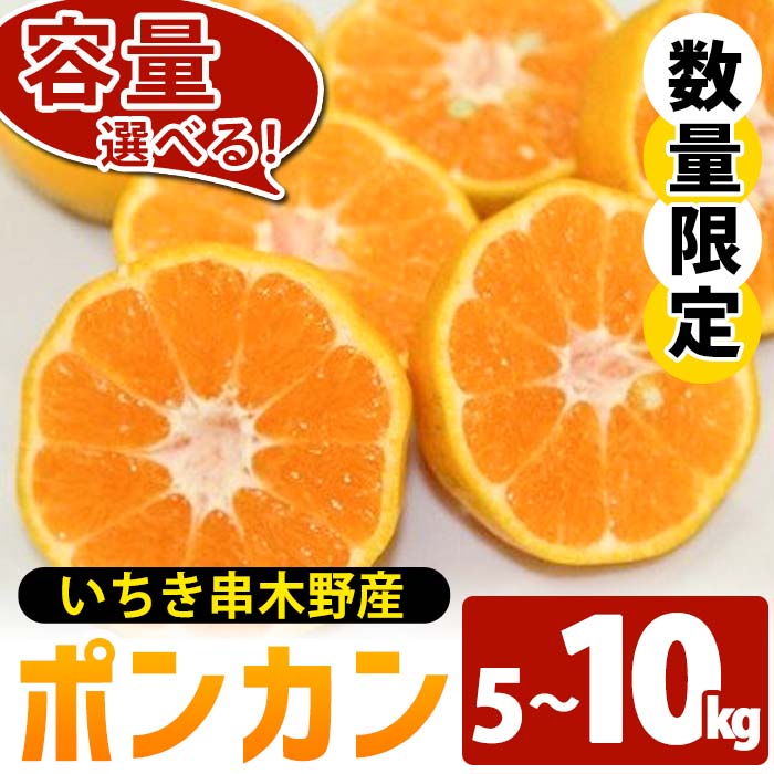 【ふるさと納税】＜先行予約受付中！2025年12月上旬頃より順次発送予定！＞《容量選べる！》池之上果樹園の旬のポンカン(約5kg/約10kg) 国産 鹿児島県産 果物 ぽんかん 椪柑 みかん ミカン 蜜柑 フルーツ 果実 冬季 常温 Mサイズ Lサイズ 箱 箱詰め バラ詰め【池之上果樹園】