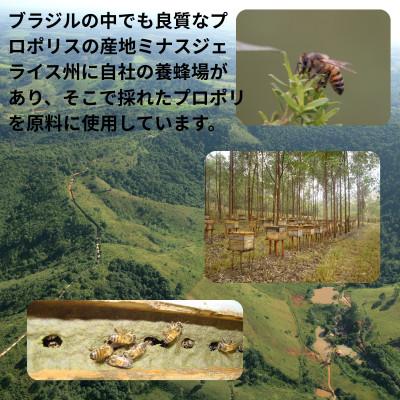 ふるさと納税 山梨市 バイオフラボンプラス 30ml |  | 02