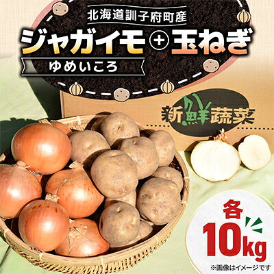【ふるさと納税】【北海道訓子府町】ゆめいころ(ジャガイモ)10kg+玉ねぎ10kg 　【配送不可地域：離島・沖縄県】【1771323】