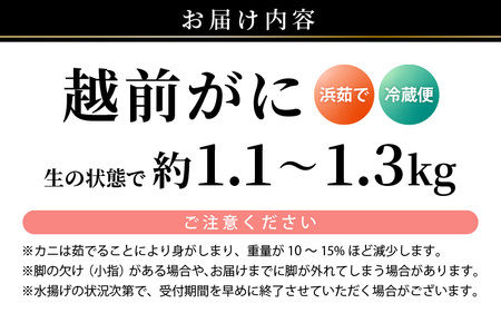 【先行予約】天然 越前がに 特大 (茹で前1.1～1.3kg) × 1杯 冷蔵ですので、届いてすぐお召し上がりいただけます！ タグ付 福井を代表する冬の味覚！【2025年11月中旬以降順次発送予定】【