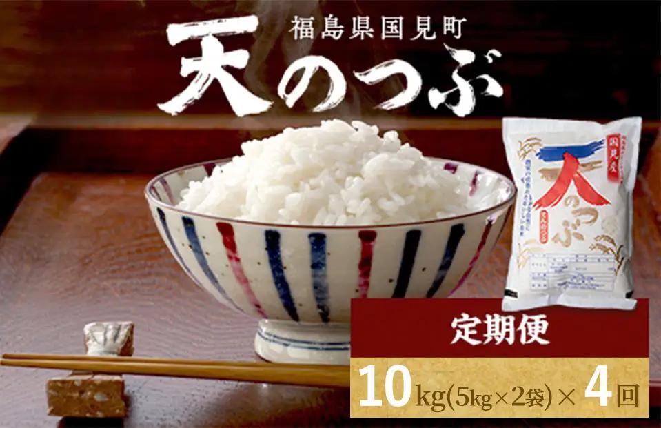 【令和8年産】【全4回定期便】米　 国見町産　天のつぶ 10kg（5kg×2袋） 4回定期便 ※2026年10月～発送