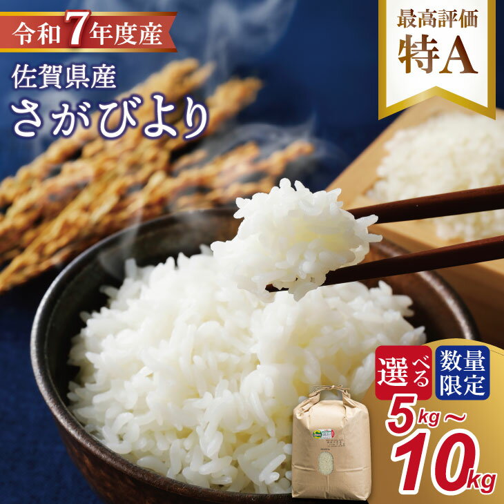 【ふるさと納税】R7年度産（令和7年）【選べる内容量】特別栽培米 佐賀ブランド 米「 さがびより 」（5kg・10kg）田中農場 精米 白米 5キロ 10キロ 単位 もちもち 食感 冷めても 美味しい お一人様 ご家族用 ランキング 特A 評価 【B130-081】