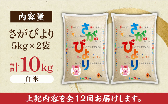 【1年間毎月お届け！】【全12回定期便】さがびより 白米 計120kg（5kg×2袋×12回）/ さがびより さがびより 佐賀米 精米 コメ おこめ ごはん 定期便 / 佐賀県 / 株式会社JA食糧さ