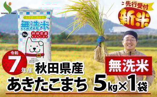 【新米先行受付】令和7年産秋田県産あきたこまち(無洗米)5kg 75P9203　/ 米 無洗米 5kg 白米 令和7年産 秋田県産 あきたこまち 5kg×1袋 おにぎり 大館 東北 秋田 小分け こわけ 大館市 5キロ 5ｷﾛ 5きろ