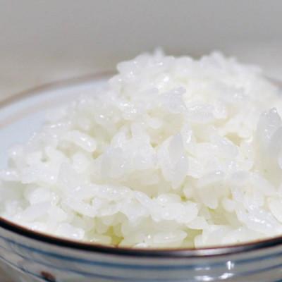 ふるさと納税 筑前町 キャンプ飯　元気つくし無洗米真空パック1合15袋　令和7年産 |  | 02