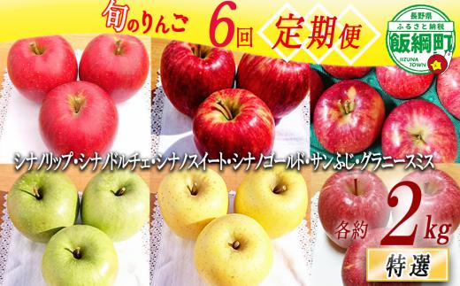 旬のりんご 【 定期便 】 特選 2kg × 6回 やまじゅうファーム 沖縄県への配送不可 2026年8月下旬頃から2027年1月下旬頃まで順次発送予定 令和8年度収穫分 信州の環境にやさしい農産物 減農薬栽培 長野県 飯綱町 [0856]