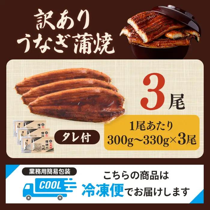 うなぎ 訳あり 3尾 計900g以上 すぐ届く 【うなぎ】【ho1686】