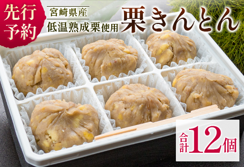 ＜2026年出荷!!＞宮崎県産 低温熟成栗100%［栗きんとん］計12個 おやつ 甘い お取り寄せ 先行予約【B619-26】