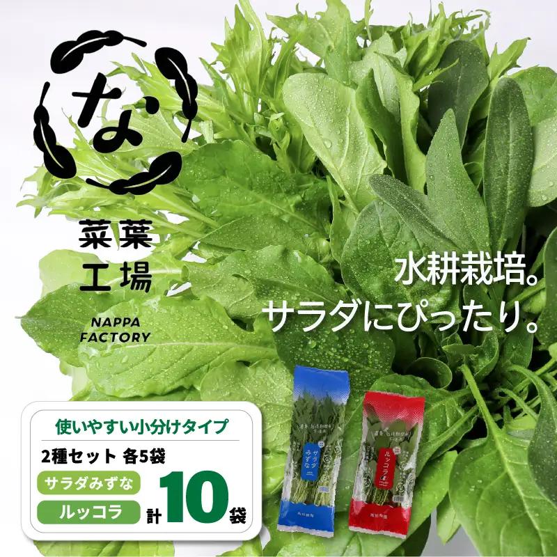 2種セット サラダみずな ルッコラ サラダセット | 水菜 水耕 栽培 新鮮 葉物 野菜 ドレッシング 南国市