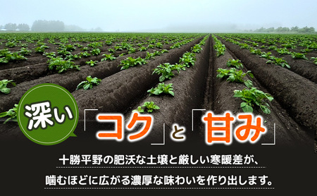 先行予約/2026年秋発送 北海道 十勝 幕別産 じゃがいも メークイン 約5kg 【横山農園】 野菜 根菜 食材 しっとり 崩れにくい 煮込み料理 炒め物 肉じゃが カレー シチュー 北海道のジャガ