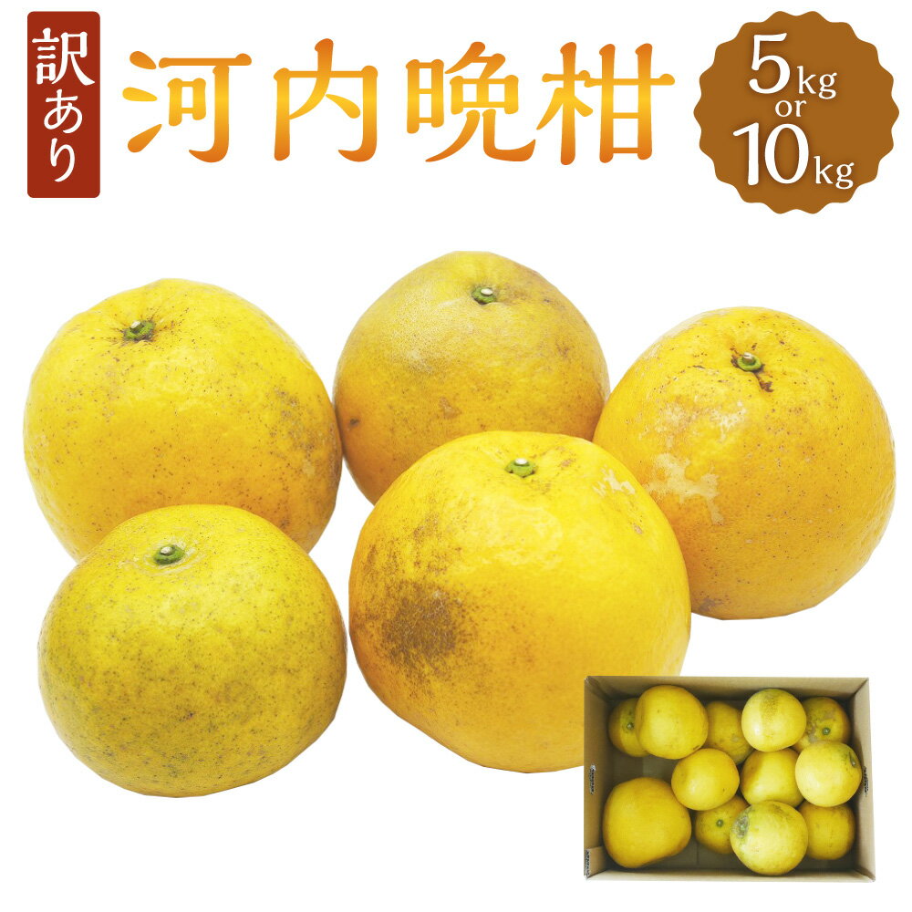 【ふるさと納税】訳あり 河内晩柑〈選べる〉約5kg または 約10kg 柑橘 柑橘類 みかん 蜜柑 フルーツ 果物 果実 不揃い ミックス サイズ 国産 愛媛県 送料無料 【2026年4月上旬より順次発送】【えひめの町（超）推し！（愛南町）】(374) (375-1)