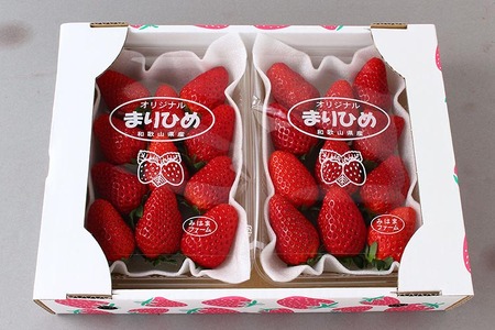 【ご家庭用（簡易包装）】和歌山県産まりひめ 1箱 (2パック入り) 【2025年1月お届け】※配送不可地域あり※2025年1月上旬～1月下旬頃に順次発送予定