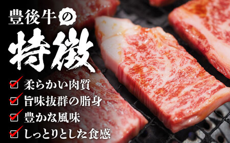 【訳あり】おおいた豊後牛 焼肉 切り落とし 1kg(500g×2P) 日田市 / 株式会社MEAT PLUS　牛 うし 黒毛和牛 和牛 豊後牛[AREI033]