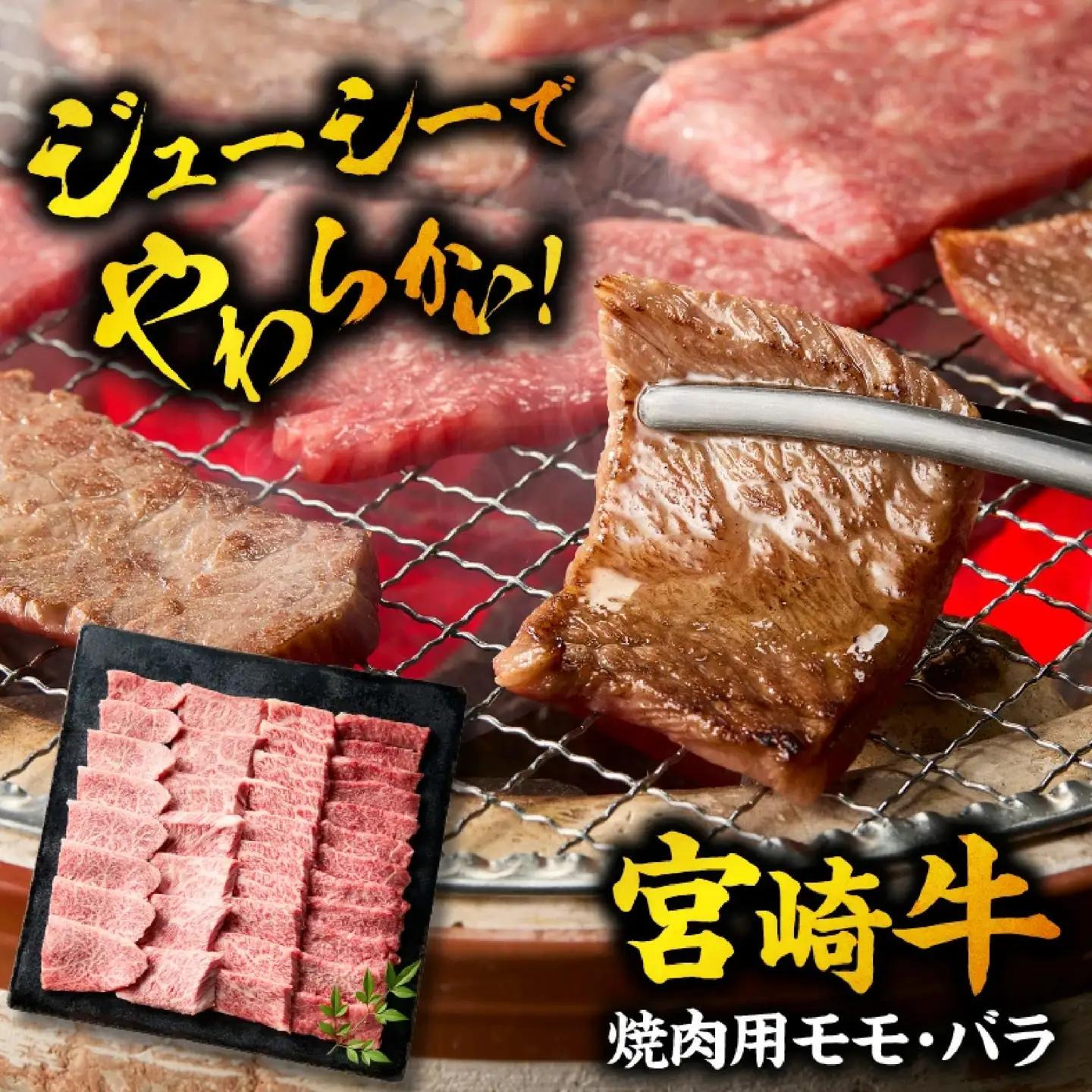 宮崎牛 焼肉 モモ・バラ500g 焼肉