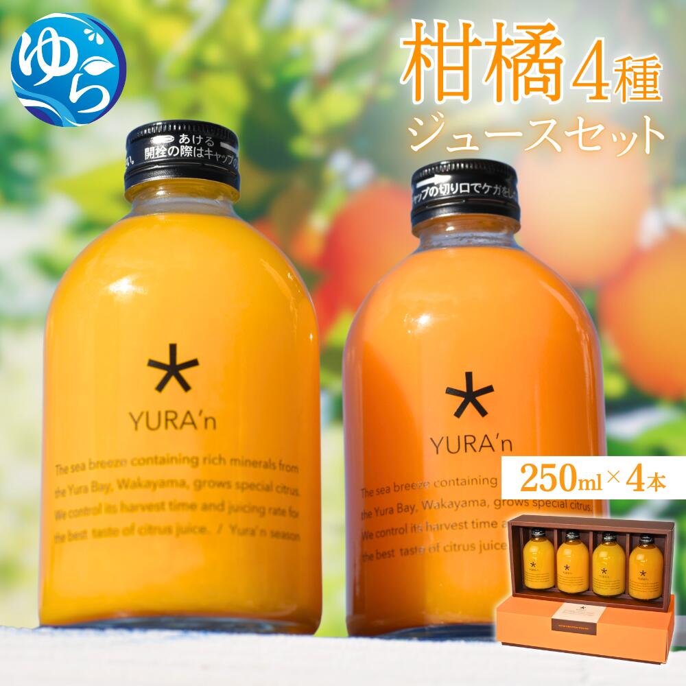 【ふるさと納税】 みかん ジュース 柑橘 4種 / ジュースセット ドリンク オレンジジュース ギフト対応可能 和歌山 由良町 数見農園 飲料 果実飲料 果汁100％ 1L //kakou