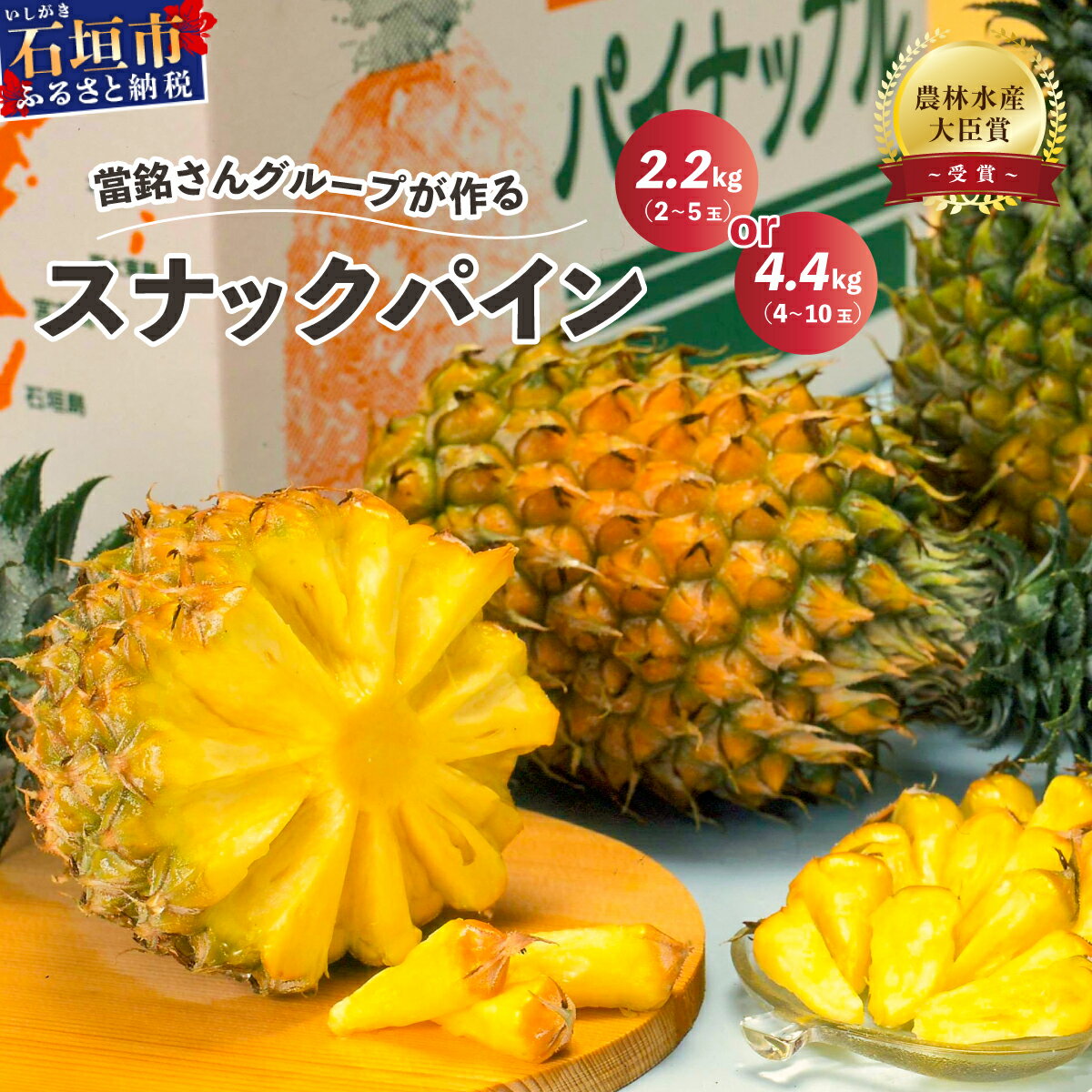 【ふるさと納税】《予約受付》スナックパイン 2.2kg (2~4玉) or 4.4kg(4玉～10玉) 《2026年4月20日より順次発送予定》農林水産大臣賞受賞 當銘さん グループ パイナップル パイン ボゴール 果物 くだもの フルーツ 果実 沖縄県 沖縄 石垣 石垣島 石垣市