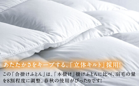 【ロイヤルゴールドラベル】羽毛合掛け布団 セミダブル ホワイトプリンセス マザーグースダウン93% 1.1kg [JDH029]