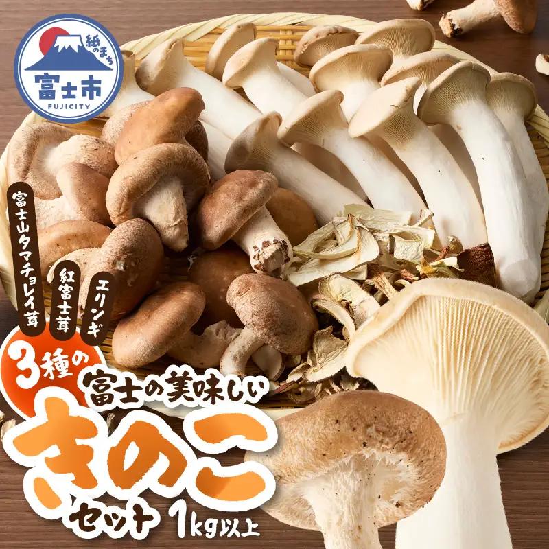 きのこ 富士山タマチョレイ茸 紅富士茸（椎茸） エリンギ 「美味しいきのこセット」 生きのこ 乾燥きのこ 3種 1kg以上 セット 詰め合わせ 薬品類無使用 柔らか 滑らか 旨み 国産 富士市産 富士きのこセンター 静岡県 富士市 [sf002-006]
