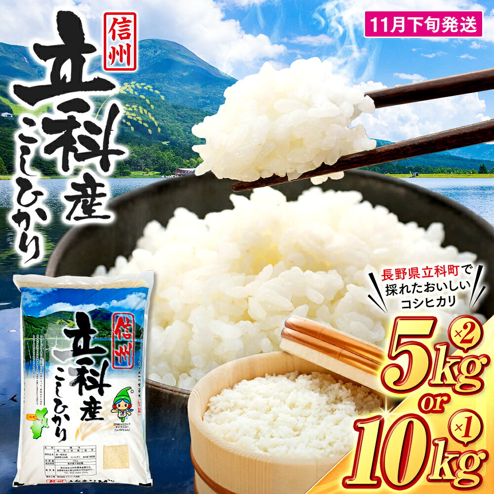 【ふるさと納税】【令和8年11月発送】 信州立科産 コシヒカリ 10kg (令和8年産新米) | お米 こしひかり コシヒカリ 10kg 新米 白米 精米 10キロ 米 ふるさと 信州 長野県 立科町 蓼科